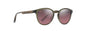 Maui Jim Hiehie RS636-15 – Shiny Trans Green / Maui Rose | Lentes de Sol