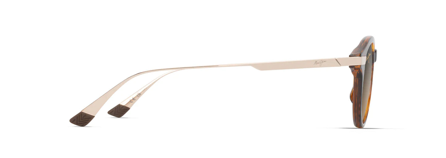 Maui Jim Momi HS622-10 – Shiny DARK Havana / HCL Bronze | Lentes de Sol