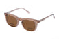 Axess Clip 2743 – Crystal Brown | Armazón de Acetato con Clip Polarizado